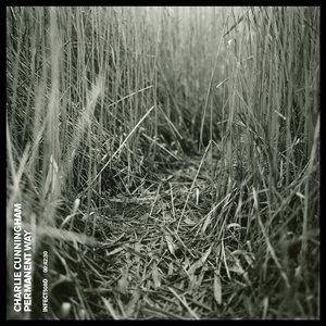 人妻熟女视频二区视频一区
